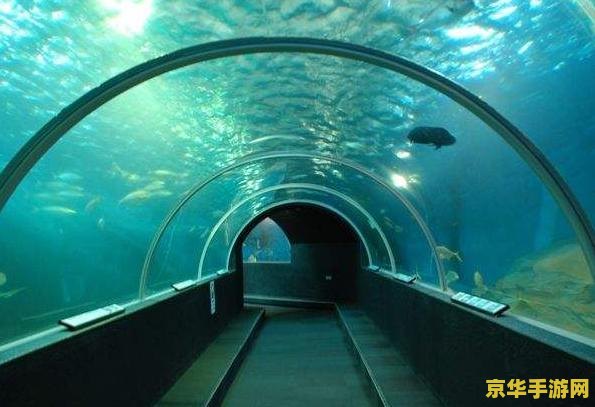_原神荒海海底锚点_原神荒海海底隧道