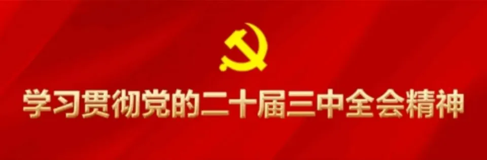 新疆高校电竞巅峰对决：农大第一深情战队夺冠，晋级全国总决赛