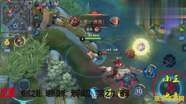 王者荣耀宫本武藏：技能升级顺序与野区清野路线，助你成为最强打野