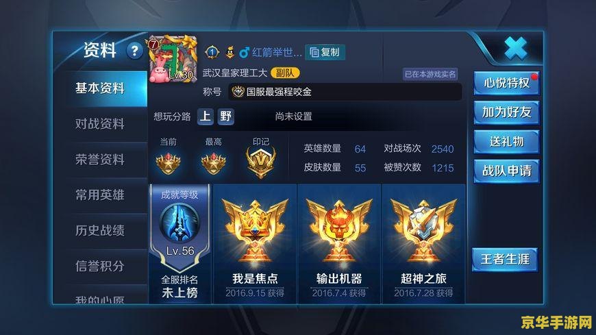 王者荣耀蓝量管理秘籍：如何让你的法师技能无限连发？