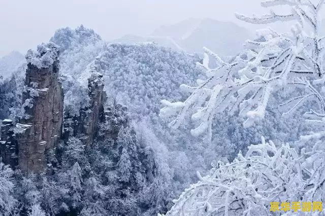 原神雪山洞探险指南：揭秘严寒中的宝藏与挑战，你准备好了吗？