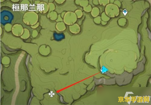 揭秘原神劫波莲：珍贵材料背后的秘密与价值