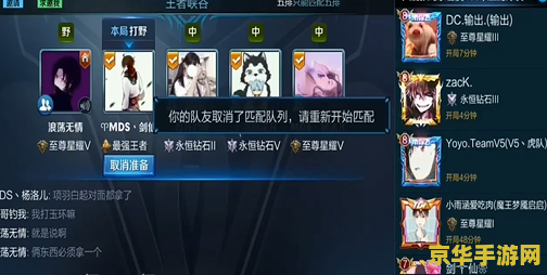 王者荣耀解析行为窥屏怎么设置_王者荣耀的解析图_