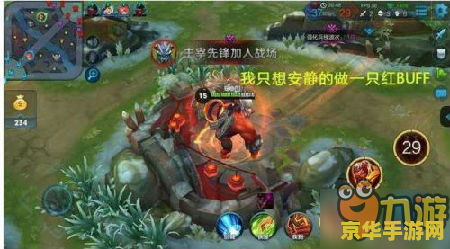 揭秘王者荣耀：掌握这些BUFF技巧，让你在战场上所向披靡