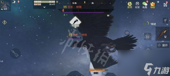 揭秘妄想山海颙鸟获得全攻略：从探险到仪式，一步步实现你的神兽梦