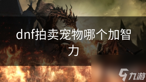 DNF拍卖行智力宠物大揭秘：哪个宠物能让你智力飙升？