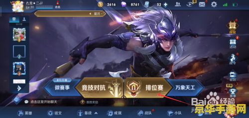 _王者荣耀经验看什么属性_王者荣耀经验查看