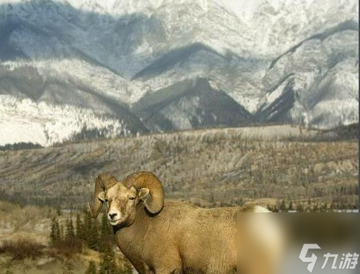 揭秘岩羊门派：如何利用其独特技能在游戏中称霸战场？