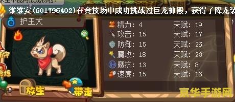 洛克王国护主犬：忠诚伙伴的奇幻冒险，技能与成长全解析