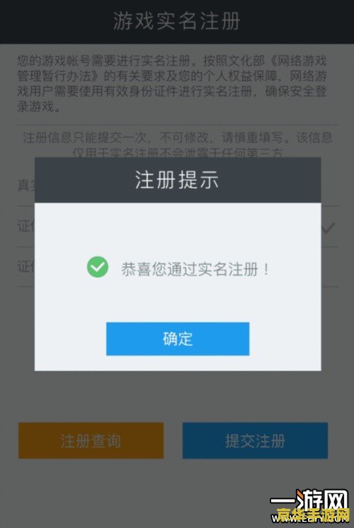王者荣耀实名制注册：保障游戏安全，守护未成年人的未来