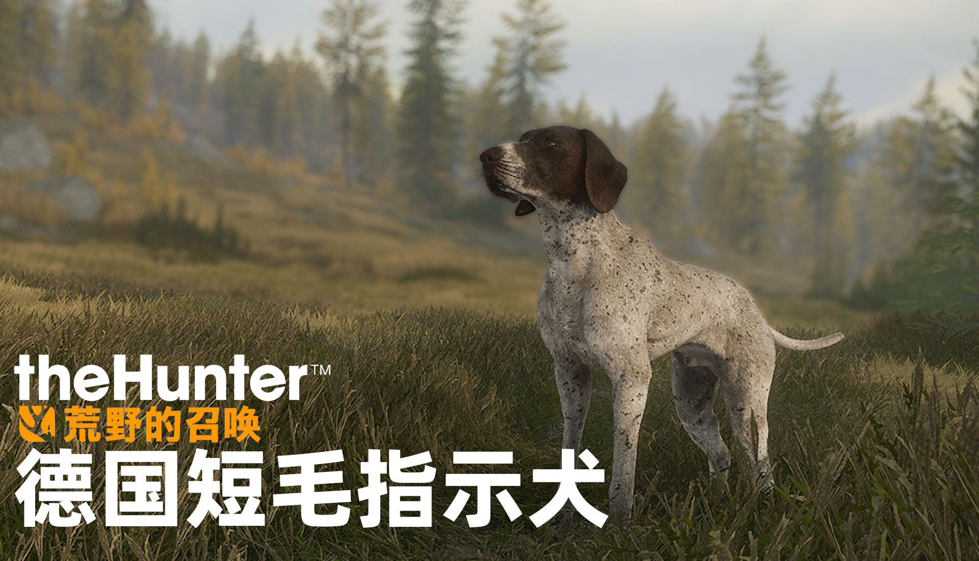 猎人召唤荒野登陆全新款免费吗_猎人荒野召唤下载手机版_