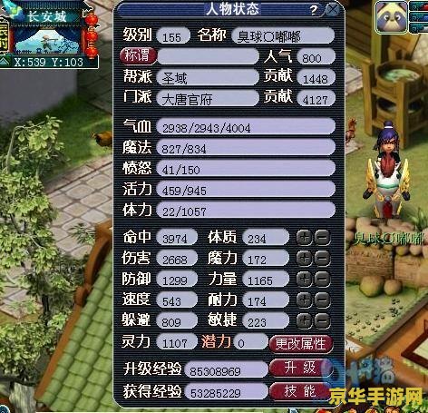 揭秘梦幻西游DT门派：高攻击力与生存能力并存，加点方案大解析