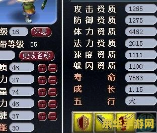 _梦幻西游dt攻略_梦幻dt怎么加点