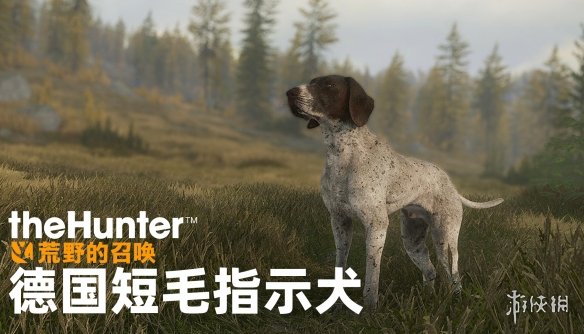 猎人荒野召唤新手教学_猎人荒野召唤下载手机版_