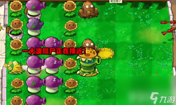 公主僵尸怎么打_僵尸英雄之魔王与公主吸收_