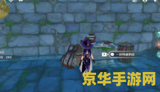 妮露实力如何_妮露登场_