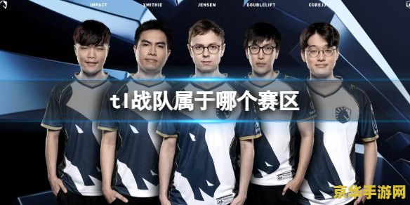 揭秘TL战队：从荷兰小队到全球电竞巨头的华丽蜕变