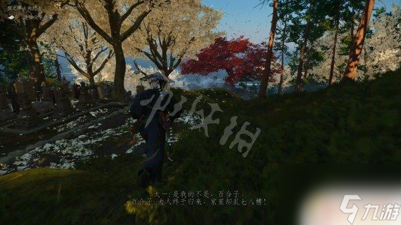 对马岛之魂：芦苇收集全攻略，揭秘隐藏资源点，挑战极限生存