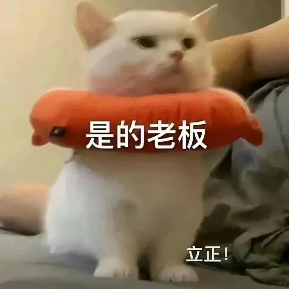 _直播圈大哥的话_主播里的大哥有什么来头