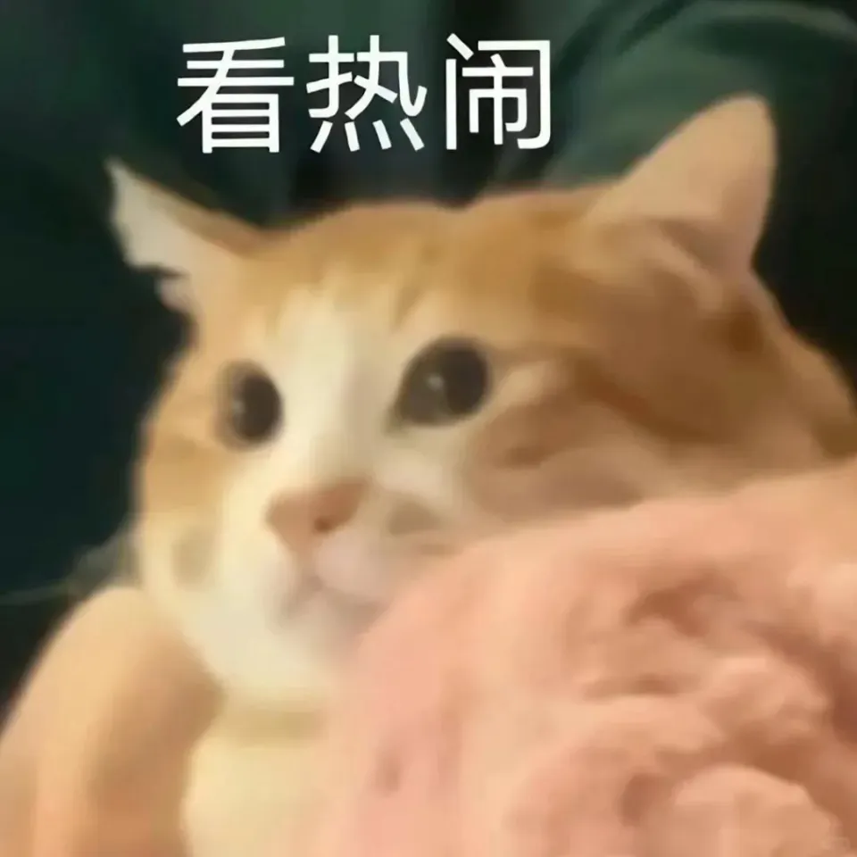 主播里的大哥有什么来头__直播圈大哥的话