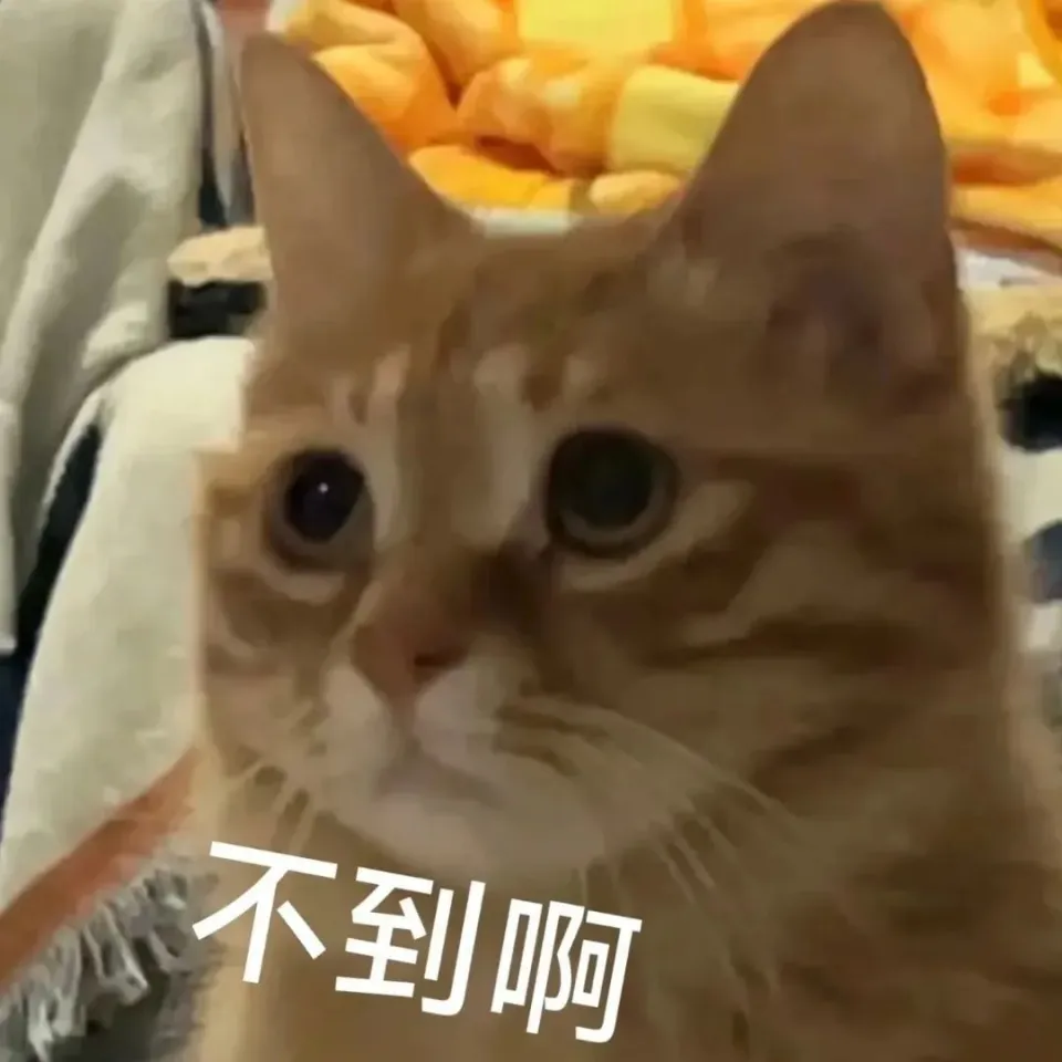 直播圈大哥的话_主播里的大哥有什么来头_