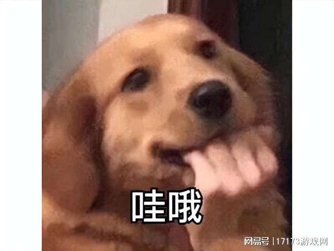 _美国加州枪击凶手找到_重庆枪击哨兵案視頻