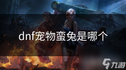 揭秘DNF蛮兔宠物：独特魅力如何成为玩家更佳伴侣？