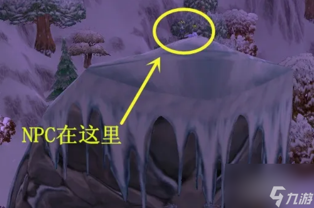 魔兽世界豹宝宝__魔兽世界冬泉谷豹子宝宝