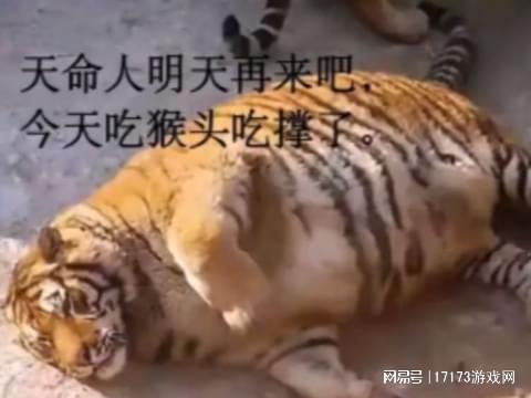 神马影院京东干鲁一鲁_外卖行业创始人_