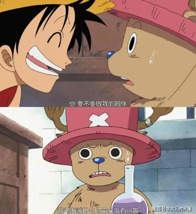 _海贼路飞伙伴有哪些_海贼王路飞伙伴