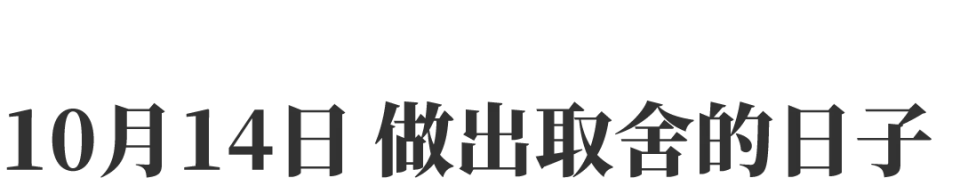 激光逗猫软件app_逗猫激光笔怎么装电池_