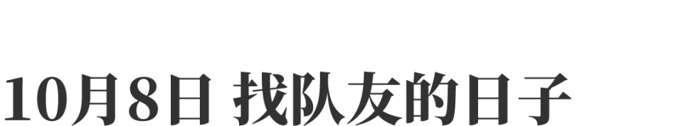 激光逗猫软件app__逗猫激光笔怎么装电池
