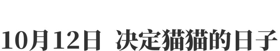 _逗猫激光笔怎么装电池_激光逗猫软件app
