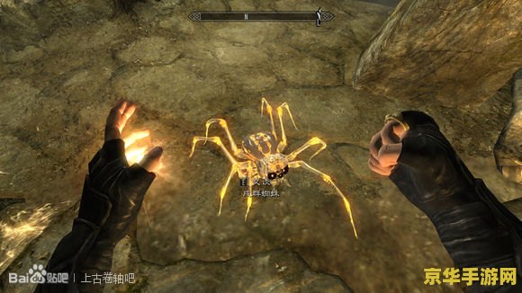 揭秘上古卷轴5龙裔DLC：龙裔传承与索瑟海姆的神秘挑战