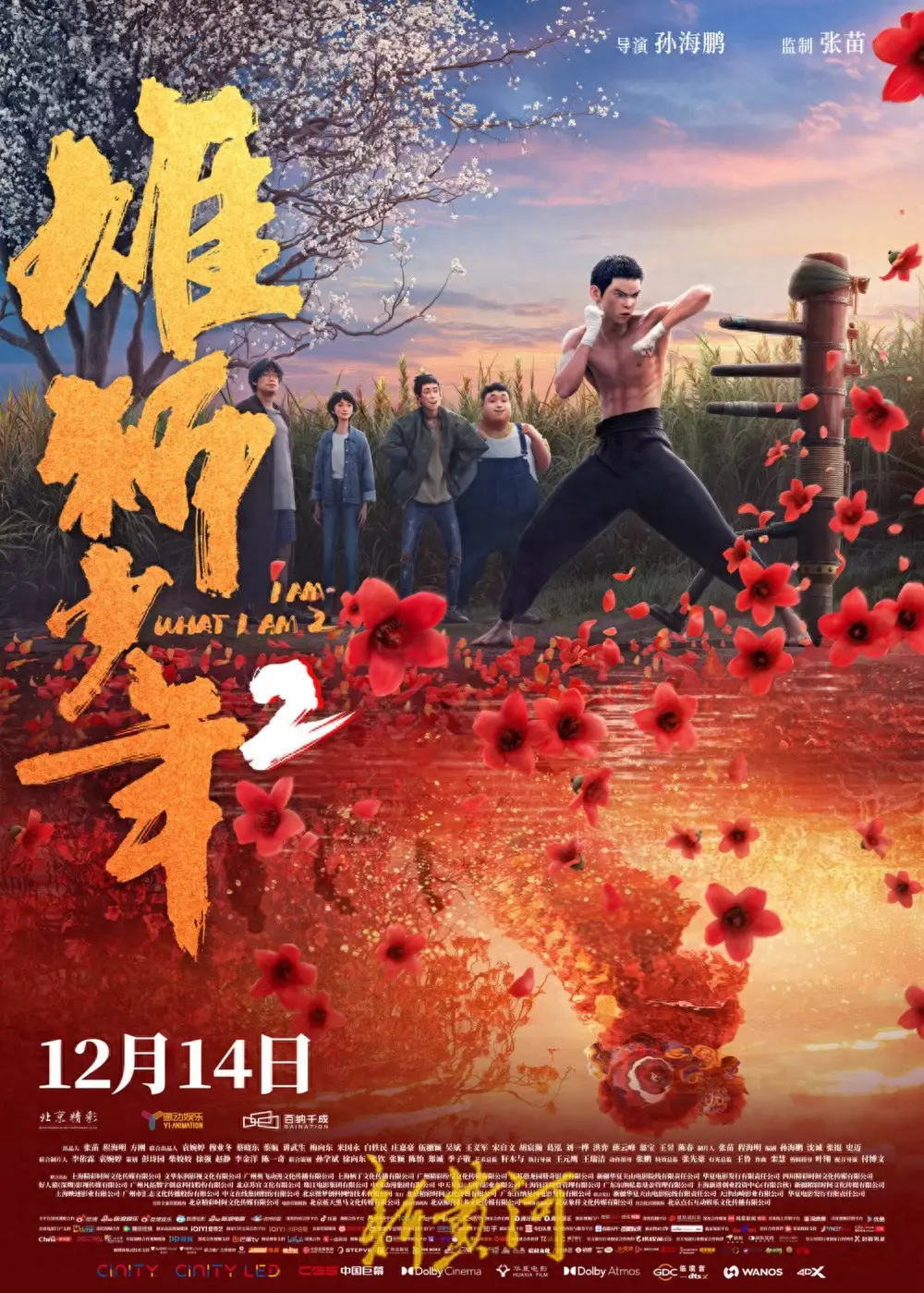 雄狮少年2：从舞狮少年到武术擂台，阿娟如何用倔强与坚韧战胜命运？