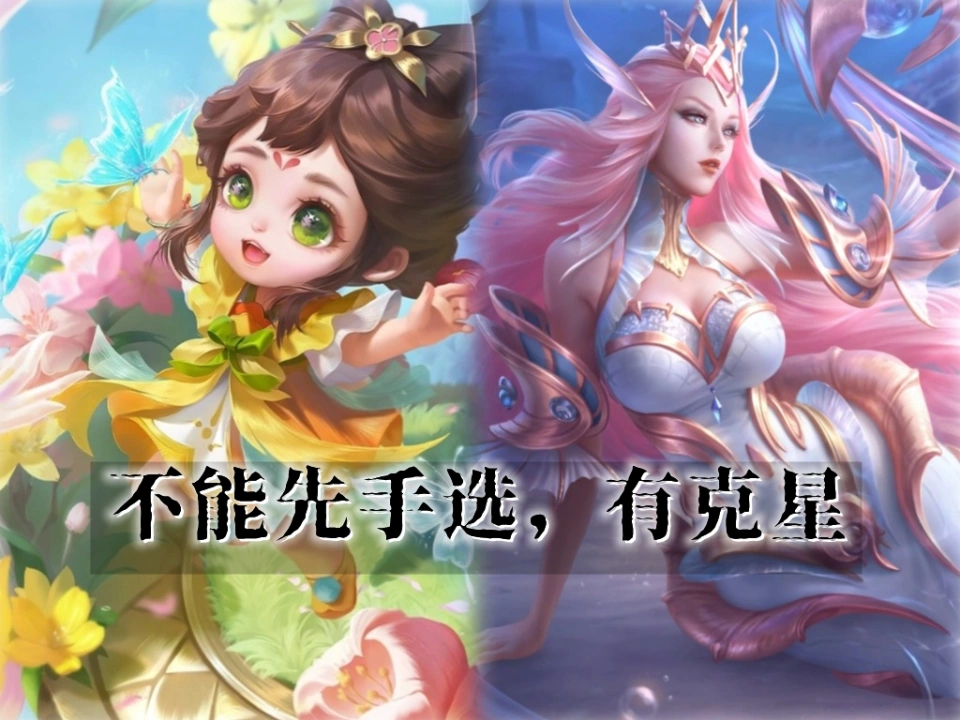 张良辅助玩法_张良辅助适合什么阵容_
