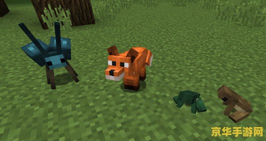 揭秘我的世界Mod：如何让你的游戏体验飞跃无限可能？