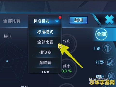 王者荣耀对战资料设置全攻略：掌握这些步骤，轻松展示你的实力