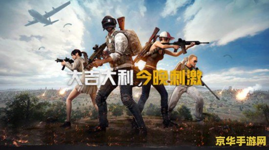 绝地求生刺激战场服下载安装_地求生绝地求生刺激战场_