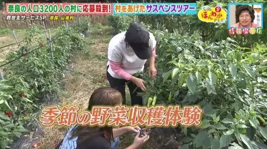 _村民告村官去哪里告_日本d板杀人事件完整版