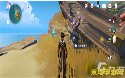 _原神雷神瞳好难找_原神雷神瞳神