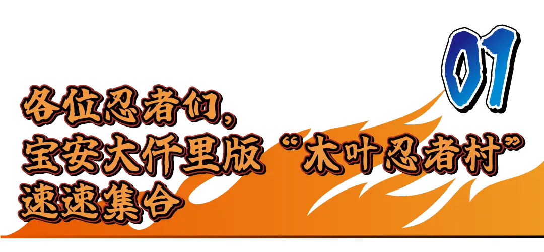 火影忍者手游限时忍者_火影忍者限时s忍怎么获得_