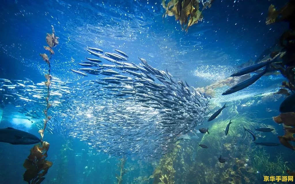 原神海洋生物学者欧拉_原神海洋生物学者_