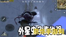高冷吃鸡昵称大揭秘：如何用一个名字震慑全场？