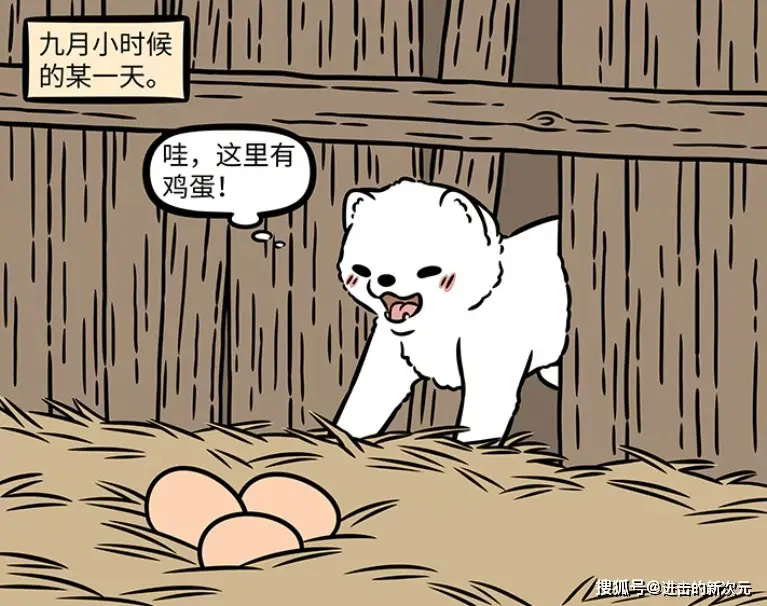 九月误当偷蛋贼，人类小孩背锅，她却趁机逃脱！小时候的九月经历了什么？