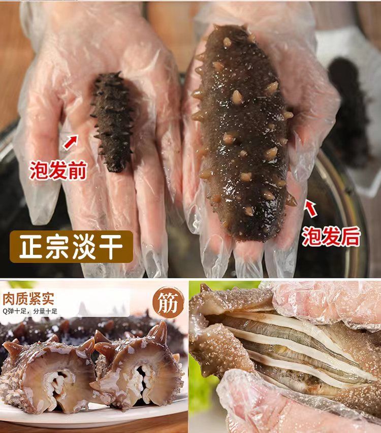 海参推荐_海参好不好吃_