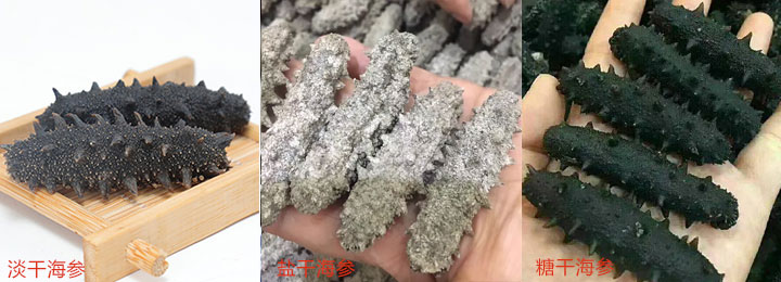 海参好不好吃_海参推荐_