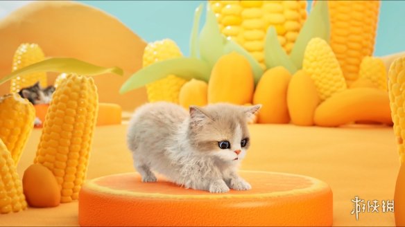猫咪写实简笔画_猫咪写实图片_