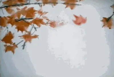韩剧回忆杀__影视剧回忆杀