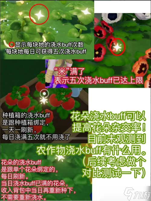 心动小镇花朵杂交怎么摆放__心动小镇花朵杂交摆放方法